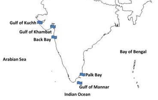 Bays-Gulf-Sea-In-India